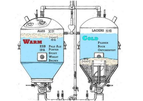 The most basic classification of beer falls into two categories, ale and lager, depending on brewing process.
